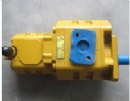 XCMG hydraulic gear pump CBGj3100/1010