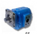 Hydraulic gear pump CBGJ3100